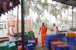 20120104 Photo 1006 1bDiRsMonlE1yOdKrvlJ5l5kU6titQrrJ.JPG