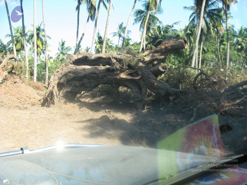 File:20120104 Photo 1008 1Jkxi9Gtu0l-DJE5AVF8AYzfVrp3uqGSD.JPG