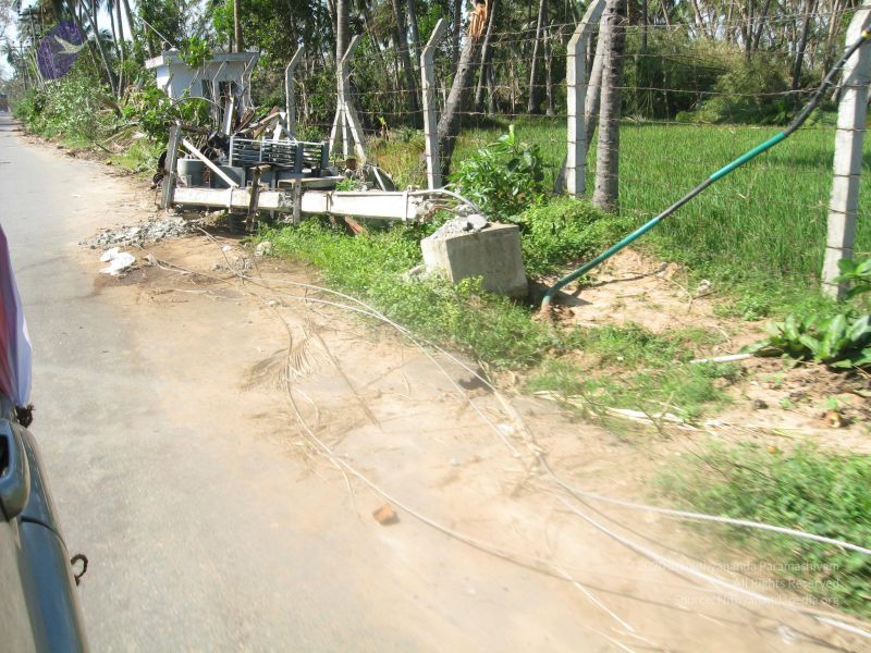 File:20120104 Photo 1009 1cQWYxG3EysqcuvGHuPlx4DL3rrJhth49.JPG