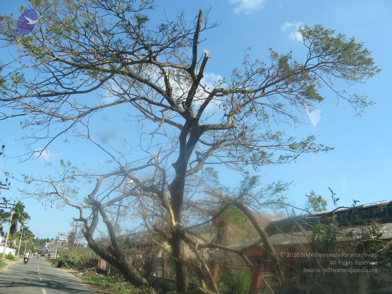 File:20120104 Photo 1011 1VS6-t3RPePxdUVuKcefGZxu4Sn rkNEw.JPG