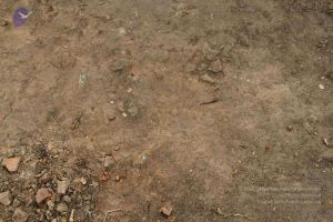 20120104 Photo 1012 1rWRZhlGb3c9LdkILhT87IYEUXqPqNmAN.JPG