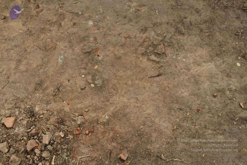 File:20120104 Photo 1012 1rWRZhlGb3c9LdkILhT87IYEUXqPqNmAN.JPG