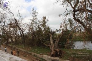 20120104 Photo 1013 1YGvoLjXGlRVWTBFJkXVYvyJ-qKcIwB2T.JPG