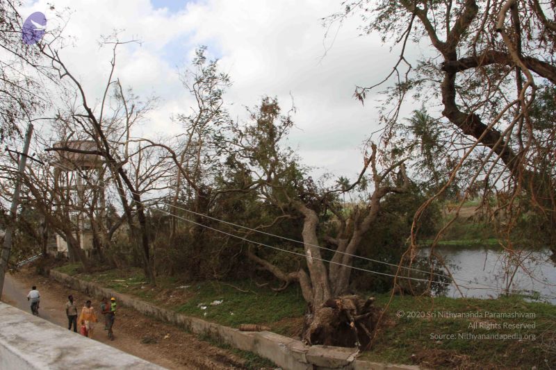 File:20120104 Photo 1013 1YGvoLjXGlRVWTBFJkXVYvyJ-qKcIwB2T.JPG