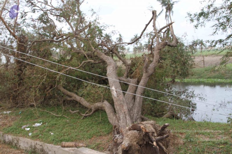 File:20120104 Photo 1014 13Jsq68KBSi4AIb4n4piusoSmK3Hc3wcp.JPG