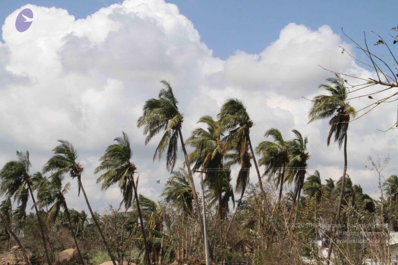 File:20120104 Photo 1020 123BMHU7g0Al9bByvAGKZuYOTJ4ss4jR-.JPG