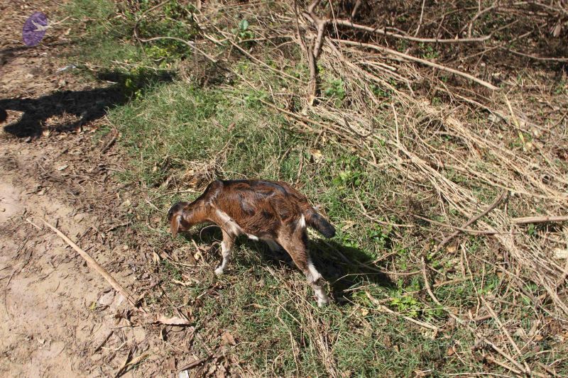 File:20120104 Photo 1024 1b9dJtHZaWBqe-nsC6zoiRzdRzU2DMcZI.JPG