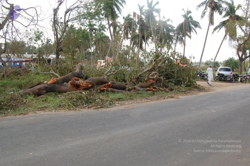 File:20120104 Photo 1036 1IPzycKtqY taPqMmZdqq3HIubua0rf-G.JPG