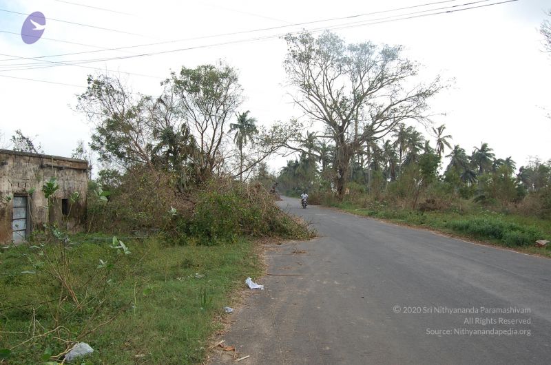 File:20120104 Photo 1037 1e4HVK06l4dEQJdoKfyFftbwVIEjla yl.JPG