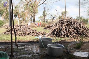 20120104 Photo 1061 1 8lb1dUshv7u0QncpZ0aYvZvO2xDFpmE.JPG