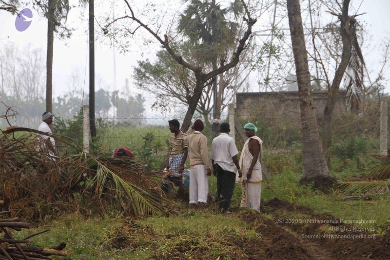 File:20120104 Photo 1070 1KCtN8t8tHuUmr5g4RGMQJEYaYZxKyym3.JPG