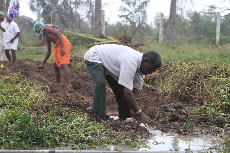 File:20120104 Photo 1071 1DR0IGCxPyc-gzcJgy1qXHmE-NhuNuwFa.JPG