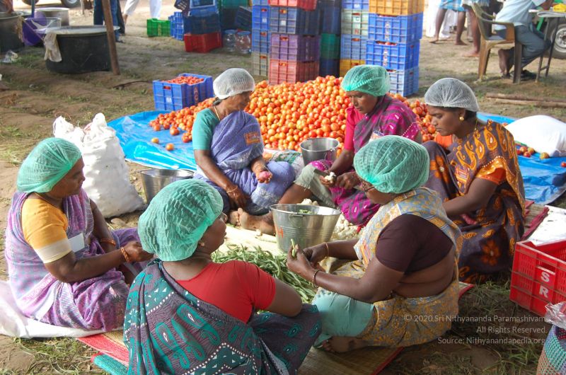 File:20120104 Photo 1202 1SQqvA7cs4A-3OohSwugvwedfV288ZQCX.JPG