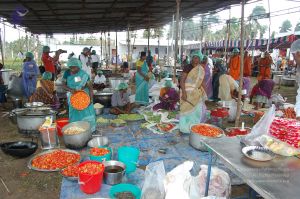 20120104 Photo 1212 1Z XO3v68v60LhHsS0xVTeKEhMh9xpxD9.JPG