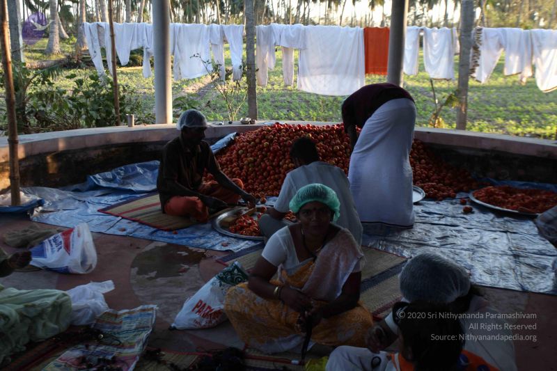 File:20120104 Photo 1258 1RkeKs9Mxb47N3aCMnTU9N8B4Dgr4JpOd.JPG