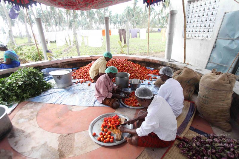 File:20120104 Photo 1340 14UoYShoWDZCFhCzxBcpbopyGp9RzgF35.JPG