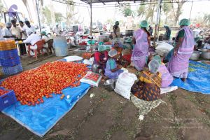 20120104 Photo 1367 1wjvmAD79oVI fCPV4yu2Iy4Y4 eKpQMl.JPG