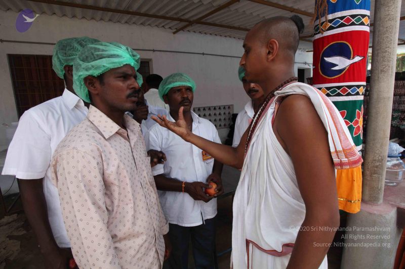 File:20120104 Photo 1461 1f5TsCzm8MQJzgOu5K3BhPSnJGrH-uGDO.JPG