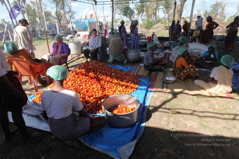 File:20120104 Photo 1499 1sqd8aSu9UWpjsg TKGgfOFLmhDZ6PkfN.JPG