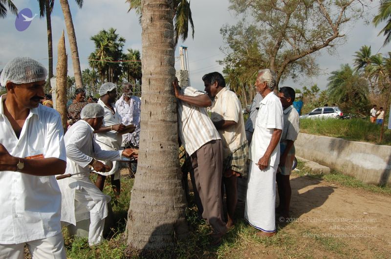 File:20120104 Photo 1645 1RELcKgUNoLR0XpsVom82UsX-asgPPDv .JPG