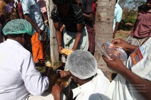 20120104 Photo 1689 1wlE4NXjbUgpzu3AJvIiXwizKj0qBka4-.JPG