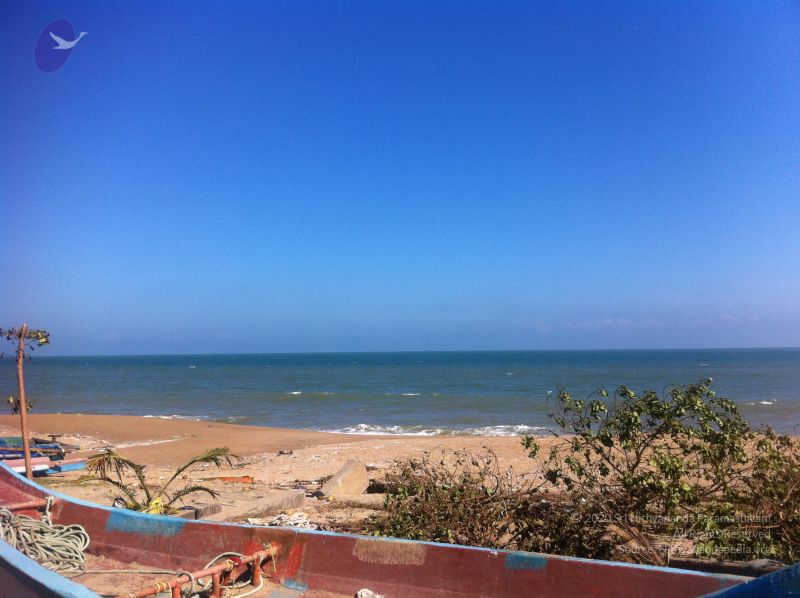 File:20120104 Photo 1962 1k5POejQjgBAJgFqtgT3HGxxfcc8uQGJx.JPG