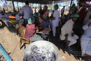 20120104 Photo 2060 1UE9pWUgtHmcLktb2Pkc4eQYw-c1vkq0k.JPG