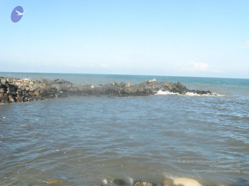 File:20120104 Photo 2469 14wnmf8JHRYYIUeXOVM8Yylx48M8Ihf4B.JPG