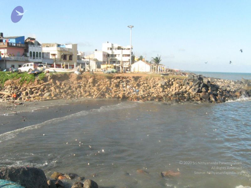 File:20120104 Photo 2470 1e0p0HcWGbwIggTESVjF4qR7oqJbS7B2r.JPG