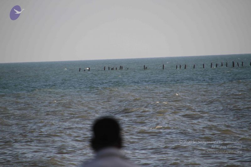 File:20120104 Photo 2507 1sljhs7FYYXrZPJP-M LiOc2XJNpQ1ST4.JPG