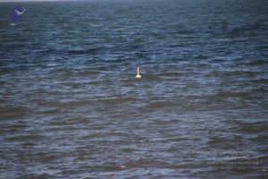 20120104 Photo 2508 13Kja8VRPr2WXXenR243rsYw7dYnsf09u.JPG