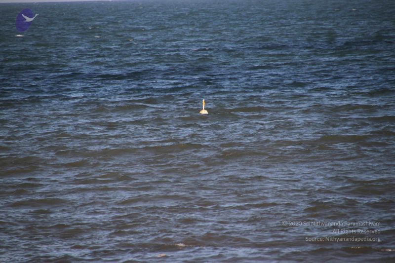 File:20120104 Photo 2508 13Kja8VRPr2WXXenR243rsYw7dYnsf09u.JPG