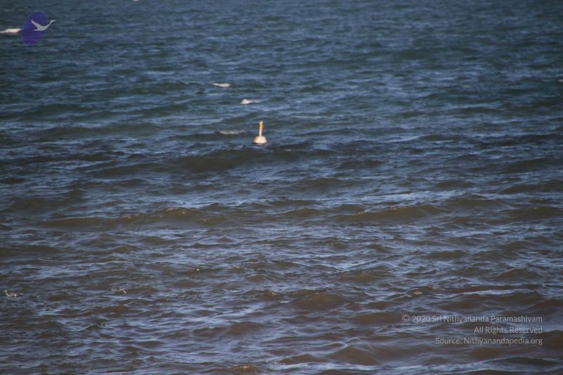 File:20120104 Photo 2509 114xI1q3947ZBICnPO rdcKLtVutXaQsB.JPG