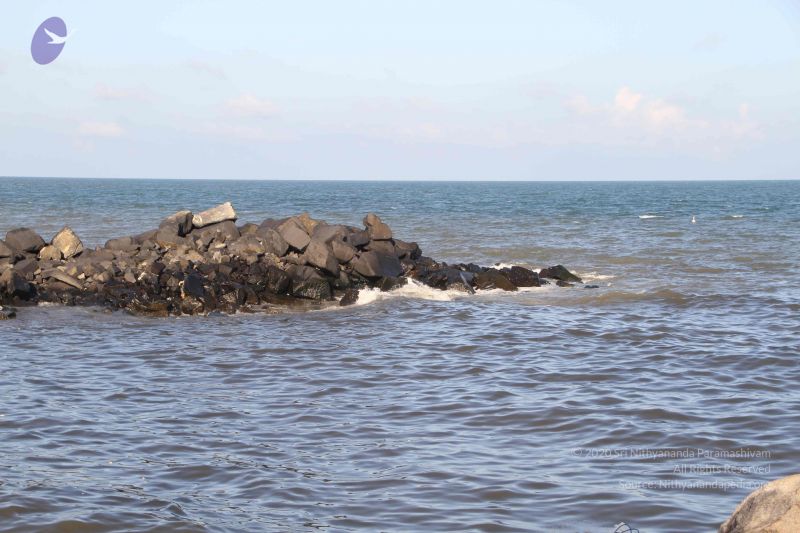 File:20120104 Photo 2510 1aJBzssQA-JMiZo98I8FYKu2UBJvmmq6g.JPG