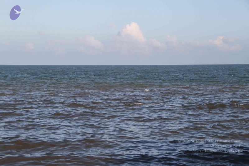 File:20120104 Photo 2512 1ZCgiMesXHs3kRHyDARLBtigZRl-6yyKh.JPG