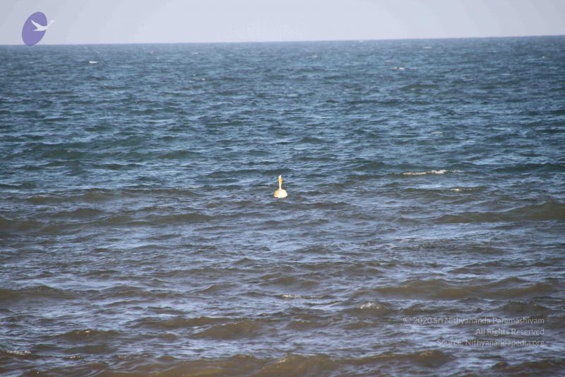 File:20120104 Photo 2513 1X2B1cVxYd2GLFBvB0bwyAz30qXznlrqH.JPG