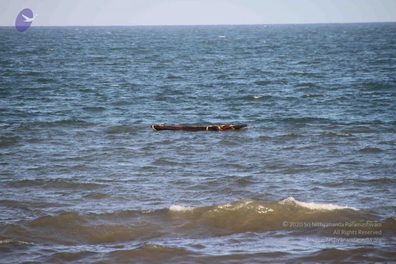 File:20120104 Photo 2515 18ccbCK5S0t0zNW-0bEVbAhYojEQUL7bT.JPG