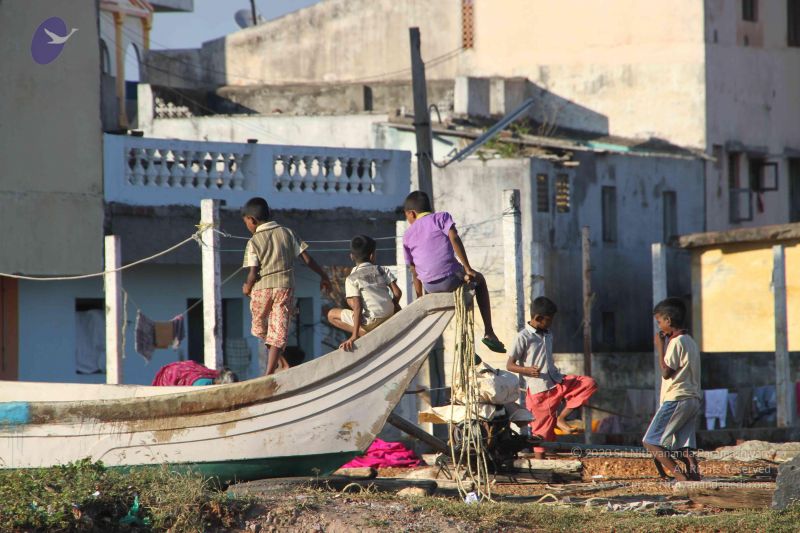 File:20120104 Photo 2517 1m-AIO8o-pCBDT86jrCqvnEE8bKVppEi2.JPG