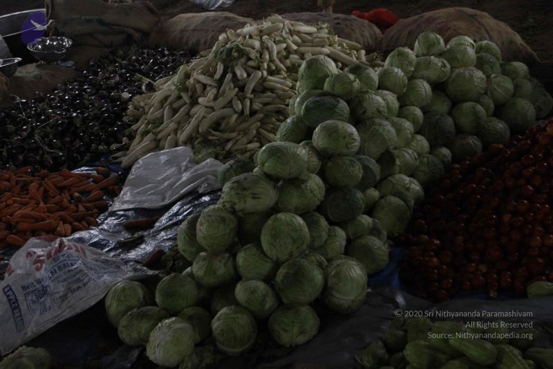 File:20120106 Photo 1020 1CGsBulEkB2Nd eQb jyqrrtn lmMfxsD.JPG