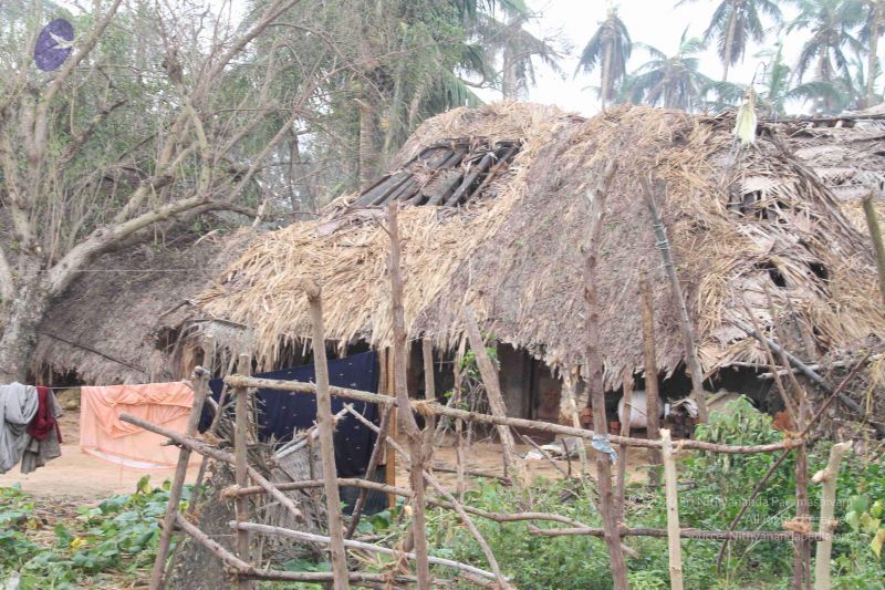 File:20120106 Photo 1038 1fuLWkvDFQuhlnyLwFhQciPoNkH89nXyZ.JPG