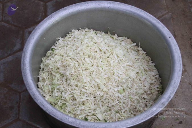 20120106 Photo 1041 1Wr-kKEwoYuJoZa3DveVaKYhh-g4VXkYD.JPG