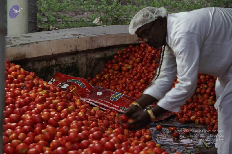 File:20120106 Photo 1042 1IQgQEd6NuTGY iFm0lgevUOiMM8Zxt2r.JPG