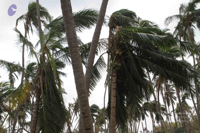 File:20120106 Photo 1127 1DdHsnhu0aG3hQLI7U9HiWdLVCMdac3vJ.JPG