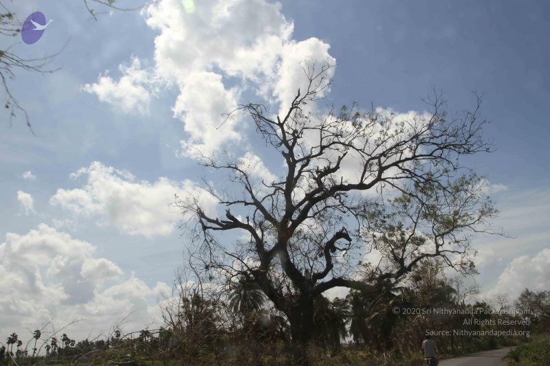 File:20120106 Photo 1190 1U4Lqbo9qoDicO0bcnIuYNplfL2ThBQAG.JPG