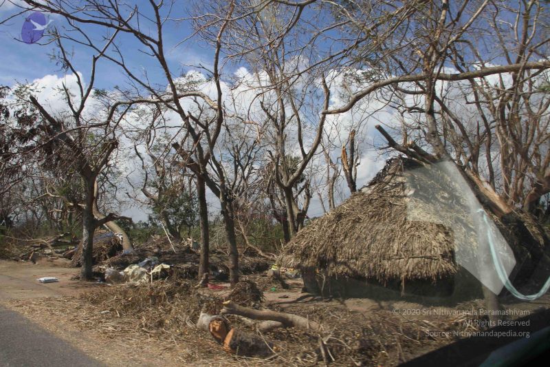 File:20120106 Photo 1196 14Dyrnkq5nlobwtbh7PgORiJcZ1z h60X.JPG