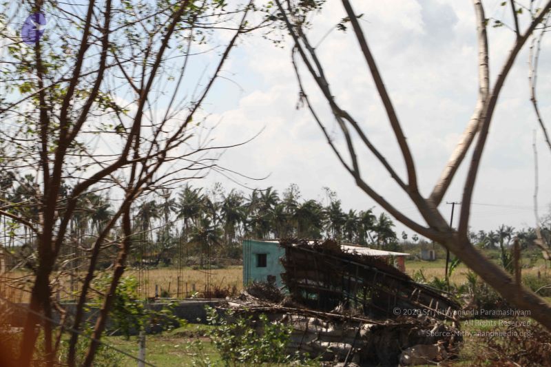 File:20120106 Photo 1200 15SncRgH0HmP6NcoXqjiFPQZUGDtcpYkN.JPG