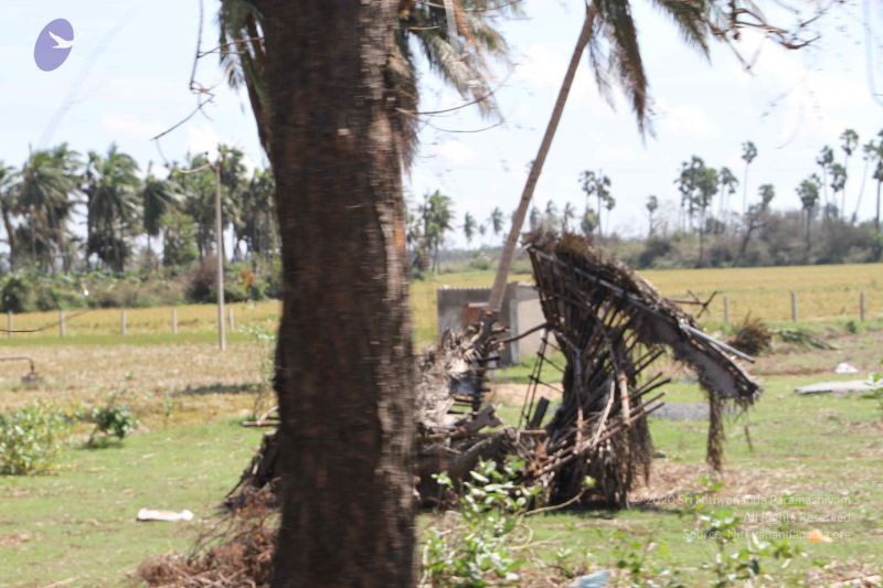 File:20120106 Photo 1201 1-LYtdbGdqTWOFboWR0PO-UdS zw4e-cD.JPG