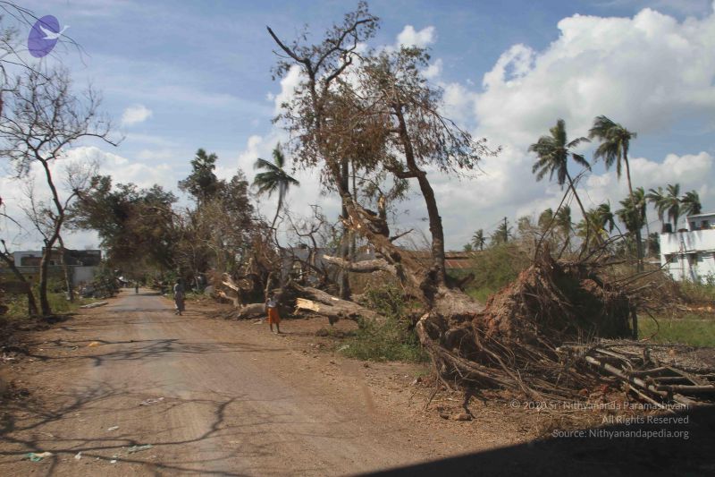 File:20120106 Photo 1203 1ubRPE4m2WevxbkxbBzielv igAGw8vpU.JPG