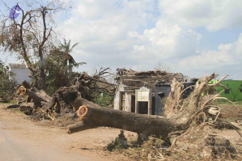 File:20120106 Photo 1205 1tIft-74HEkQALJlW1ttFR7kbj6AXW4EW.JPG