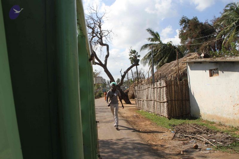 File:20120106 Photo 1233 1rG6 3m0bd3JlUijfqVzB8jqW9znSDBBL.JPG